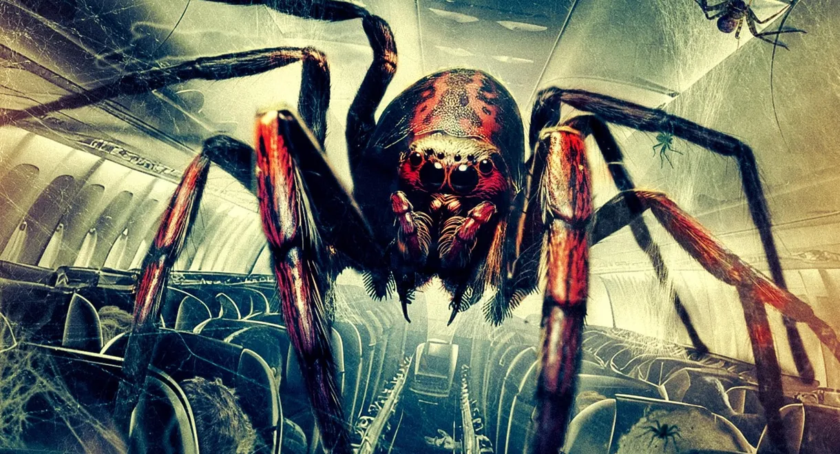 Spiders on a Plane
