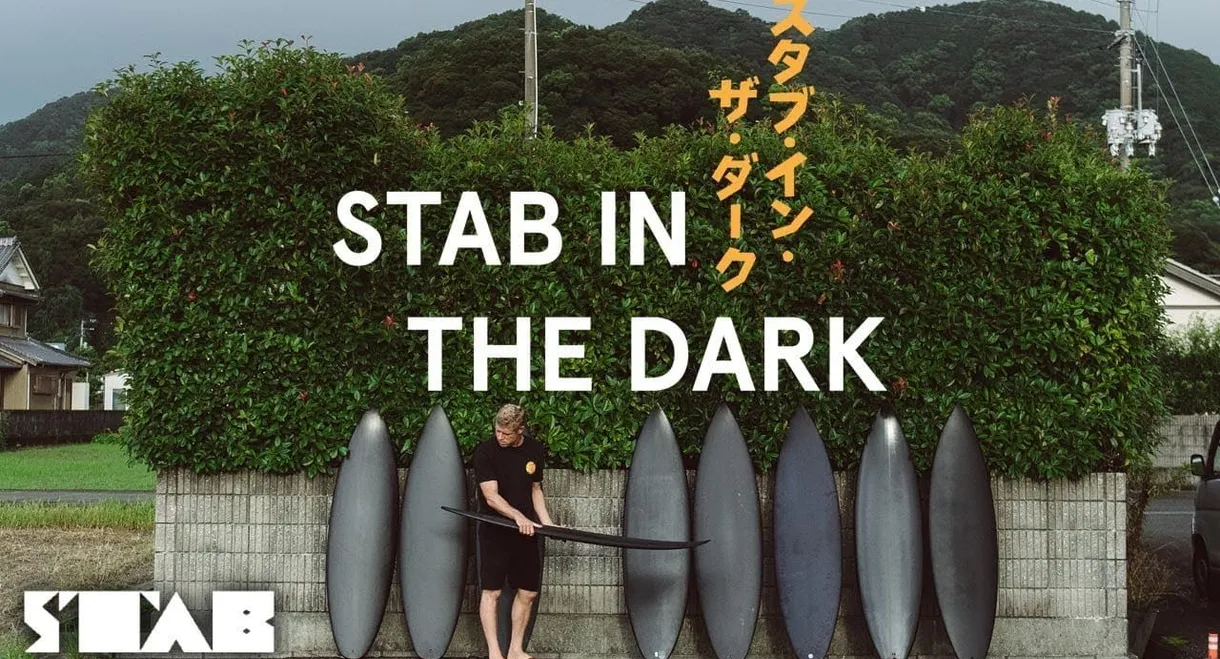 Stab in the Dark