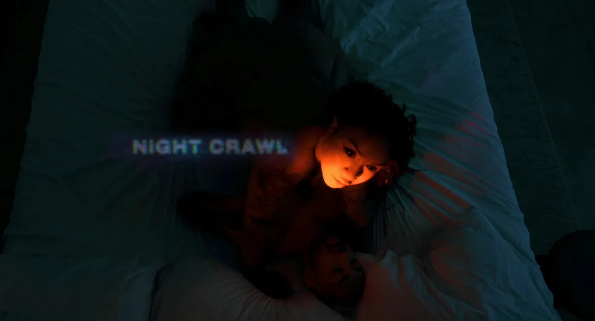 Night Crawl