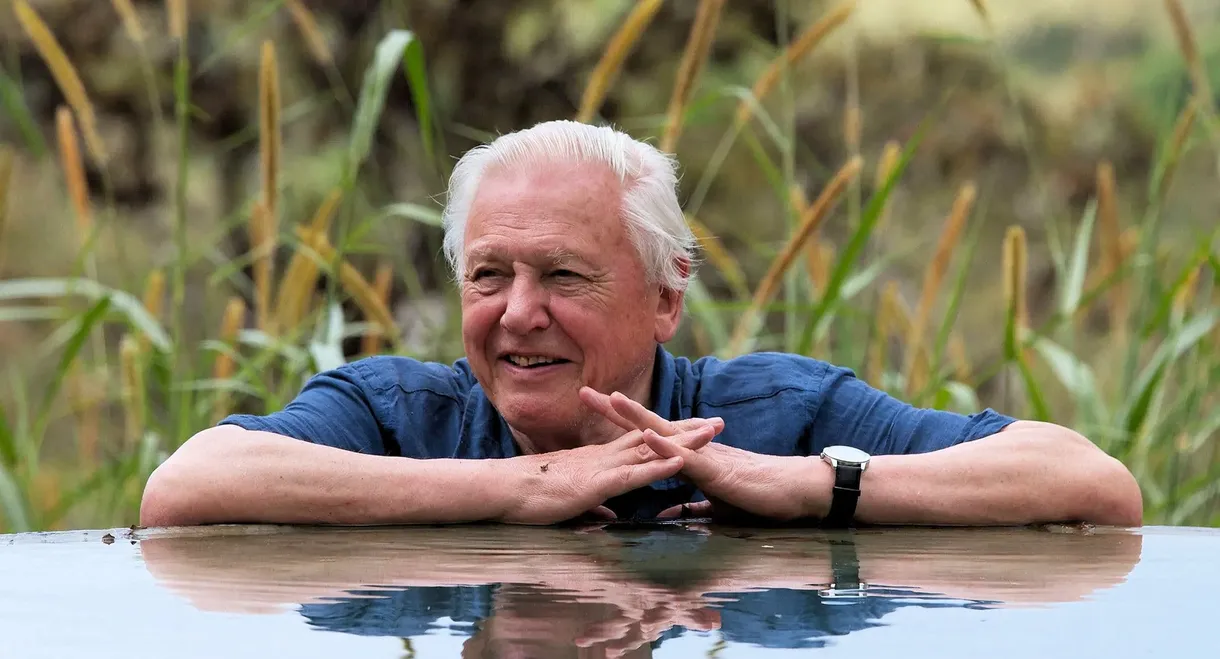 David Attenborough's Global Adventure