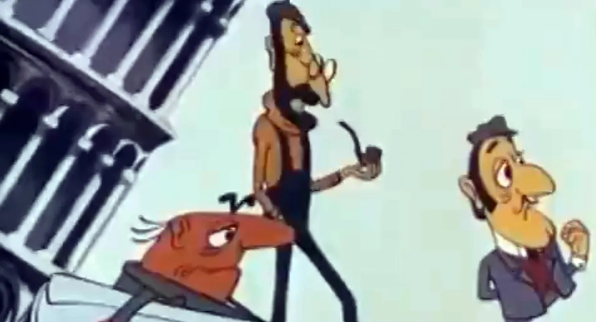 Reflection