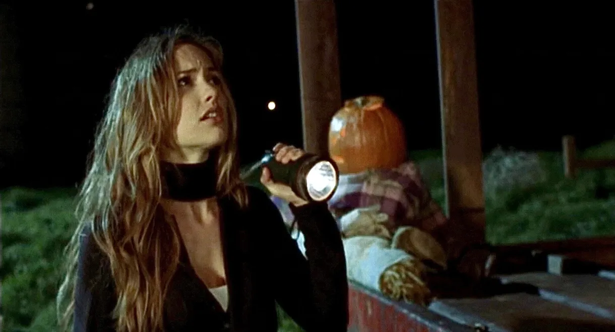 The Pumpkin Karver