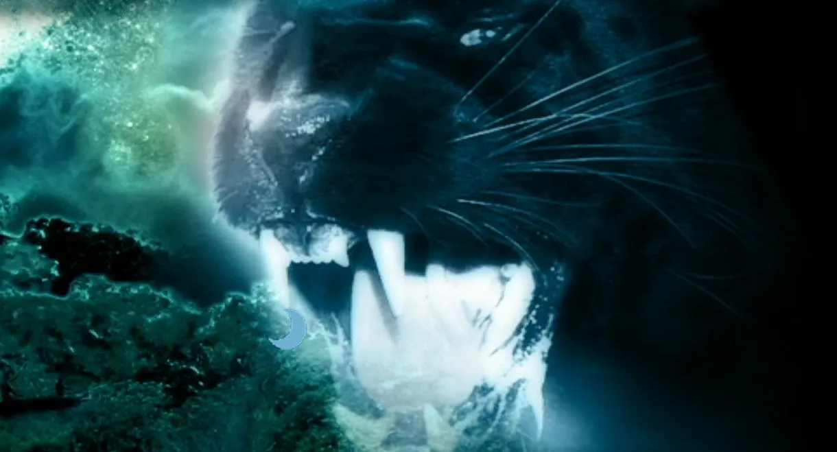Night Creature