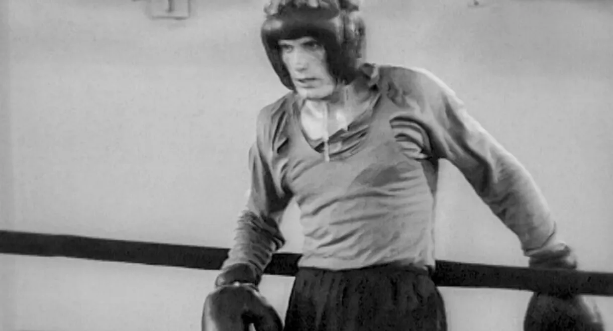 Boxer