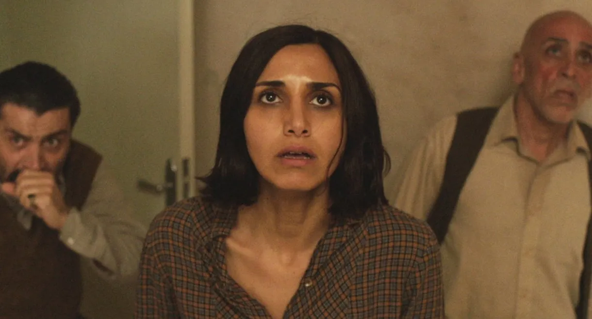 Under the Shadow