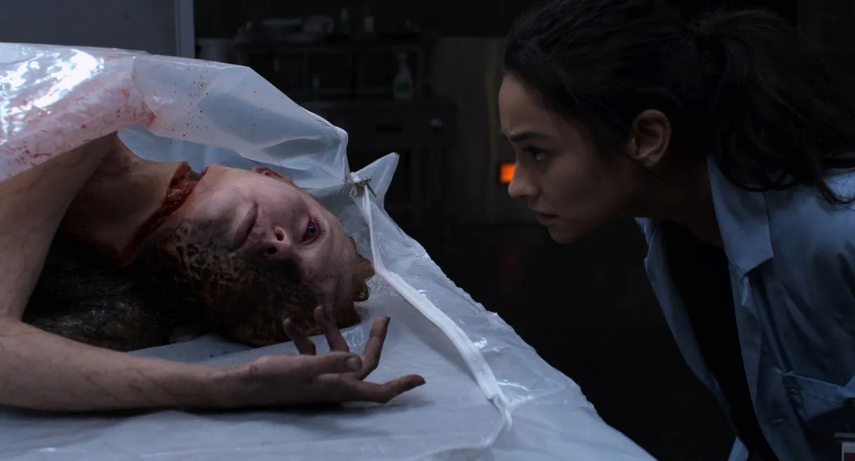 The Possession of Hannah Grace