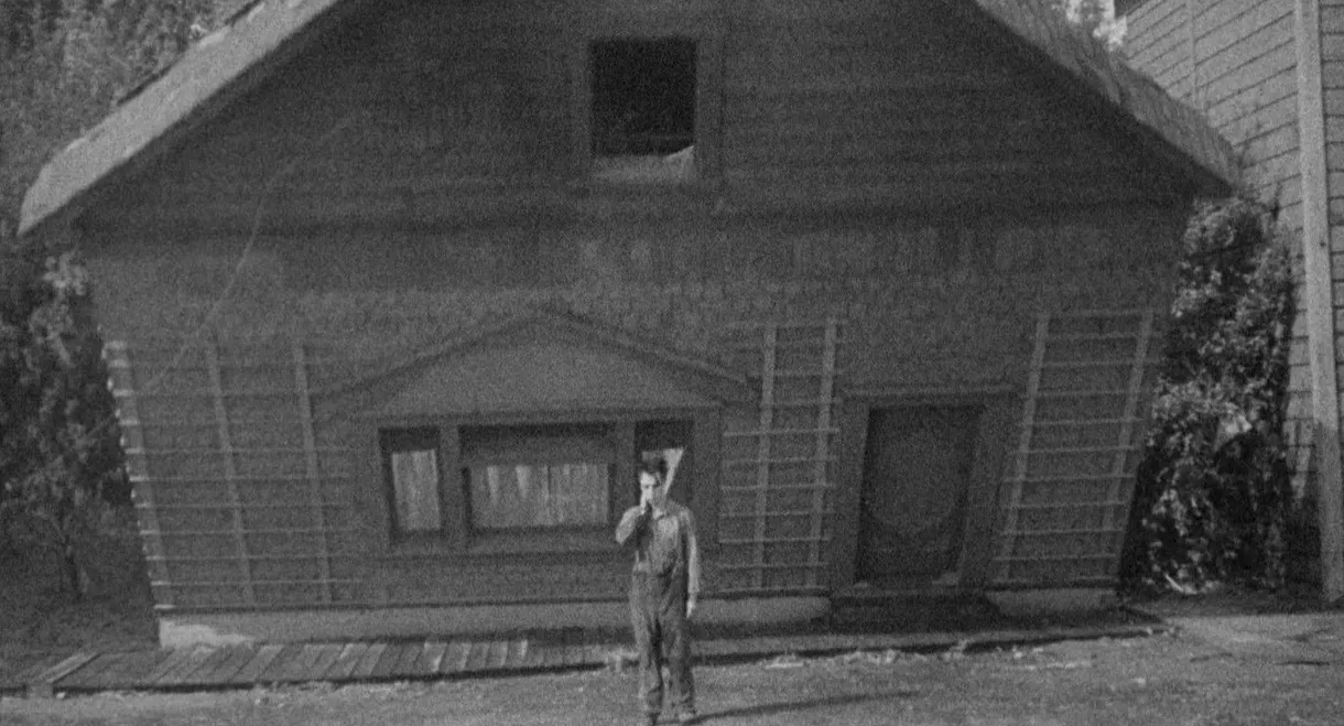Steamboat Bill, Jr.
