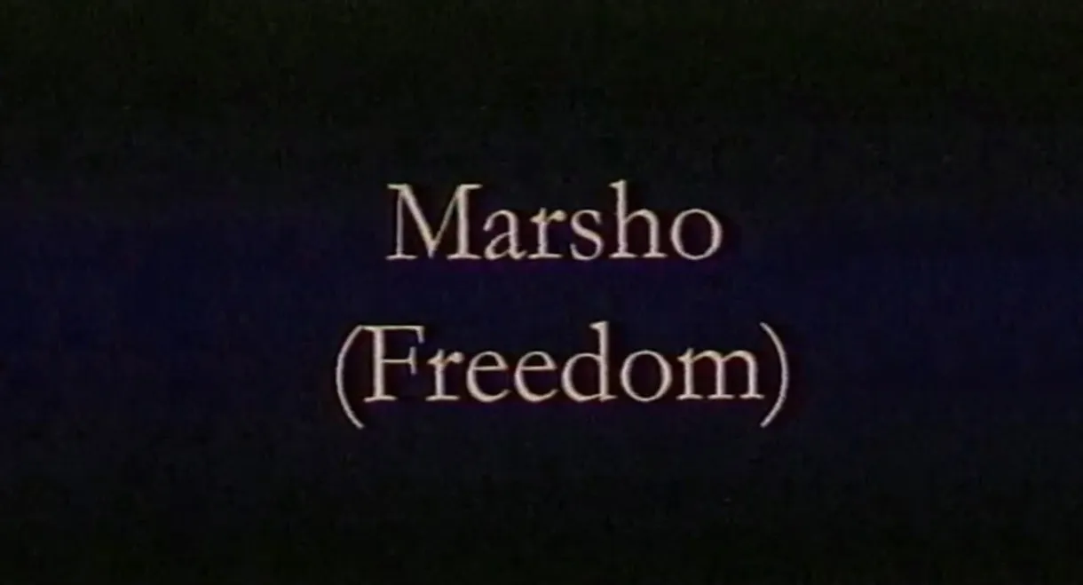Freedom