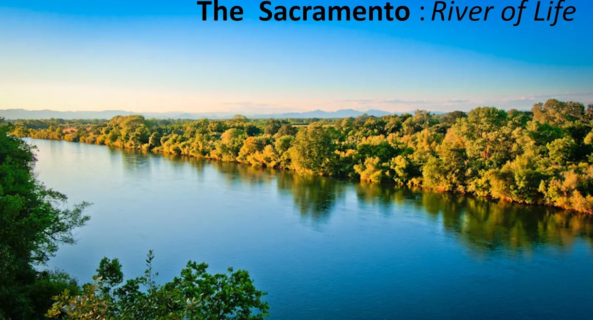 The Sacramento River of Life