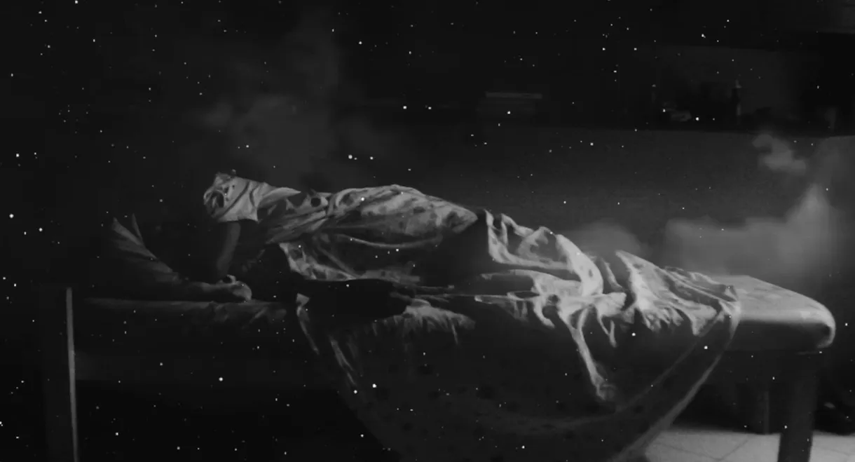 Nocturnal Animals