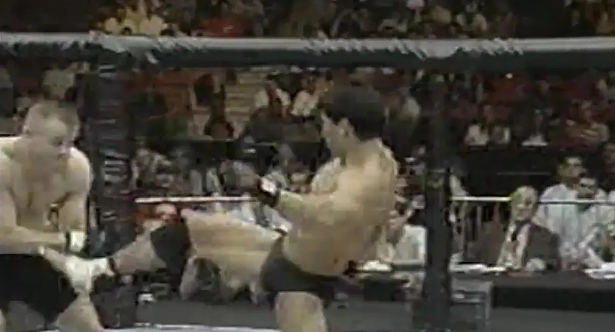 UFC 17: Redemption