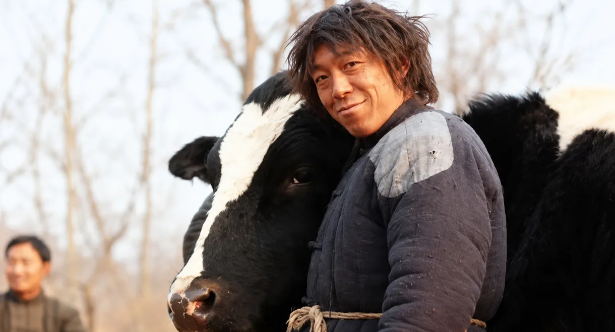 Cow
