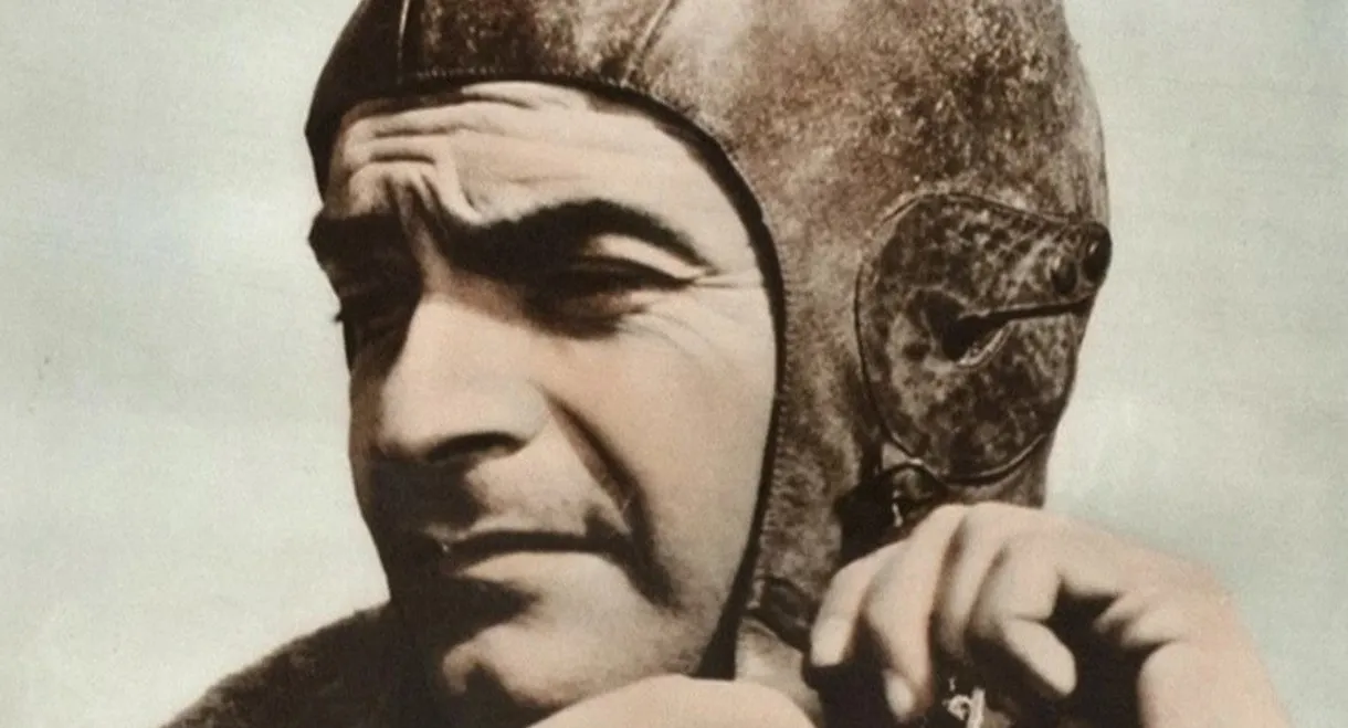 Rondini in volo