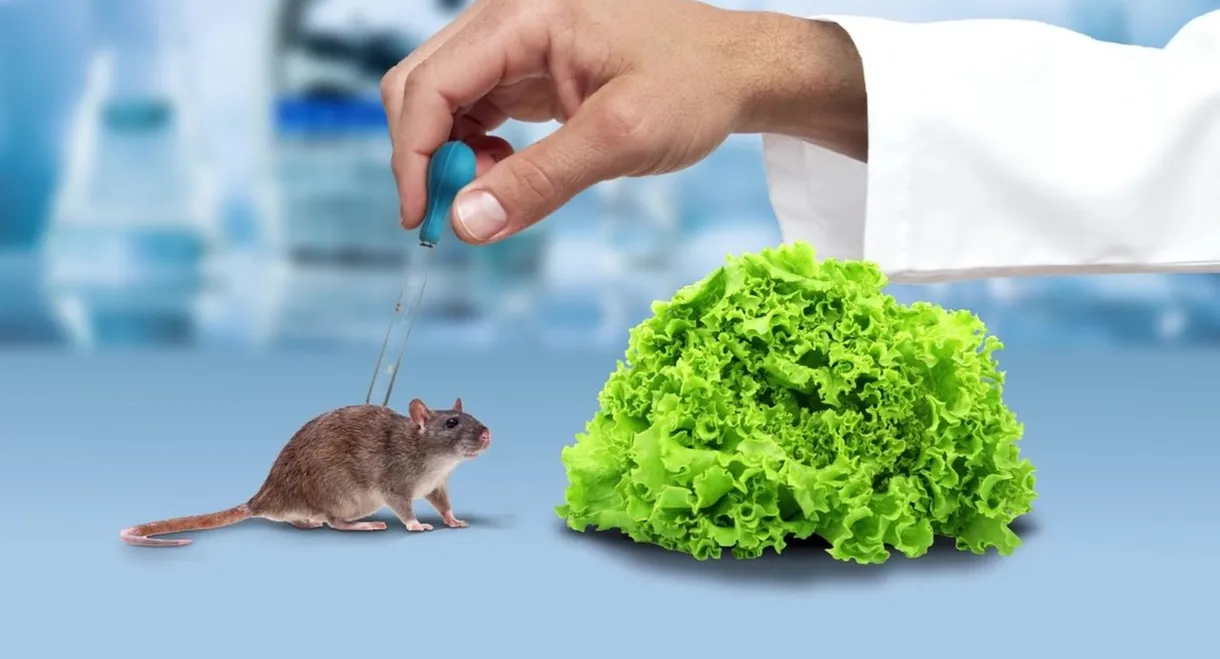 The Weight of Chains 3