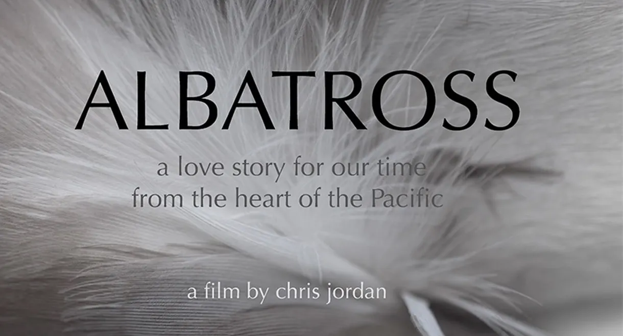 Albatross