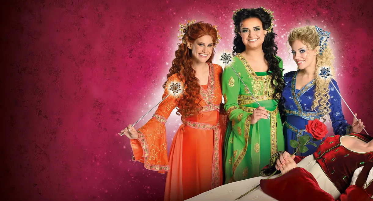Doornroosje, De Musical