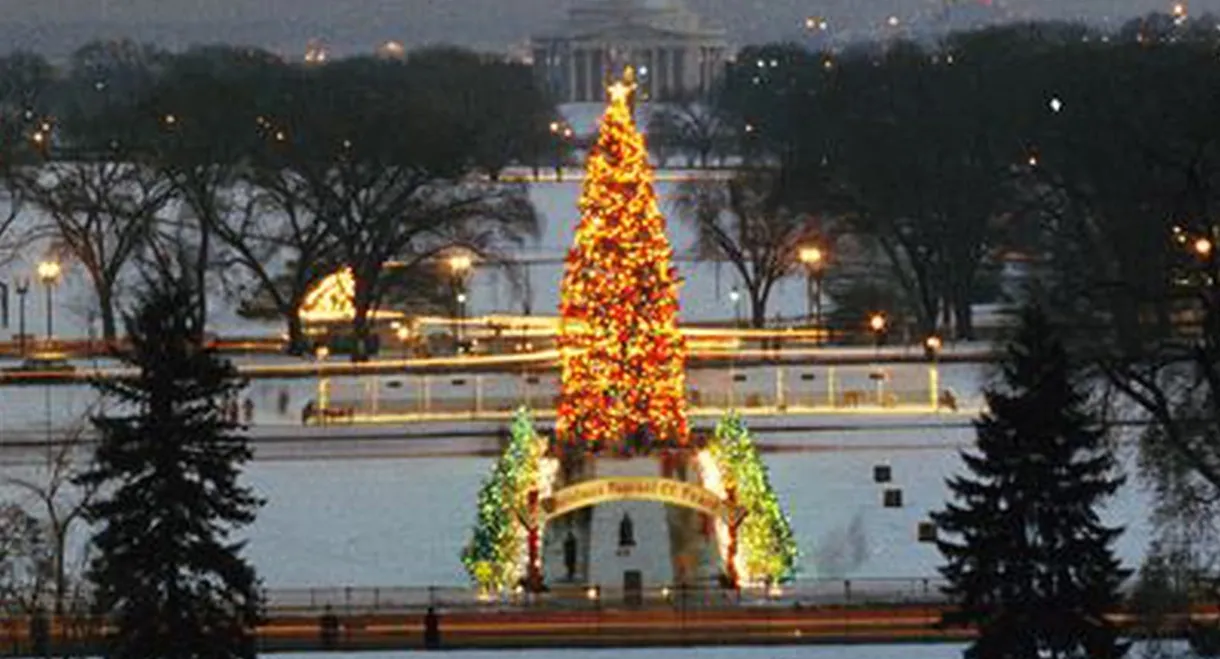 The National Christmas Tree, A Century of Celebration