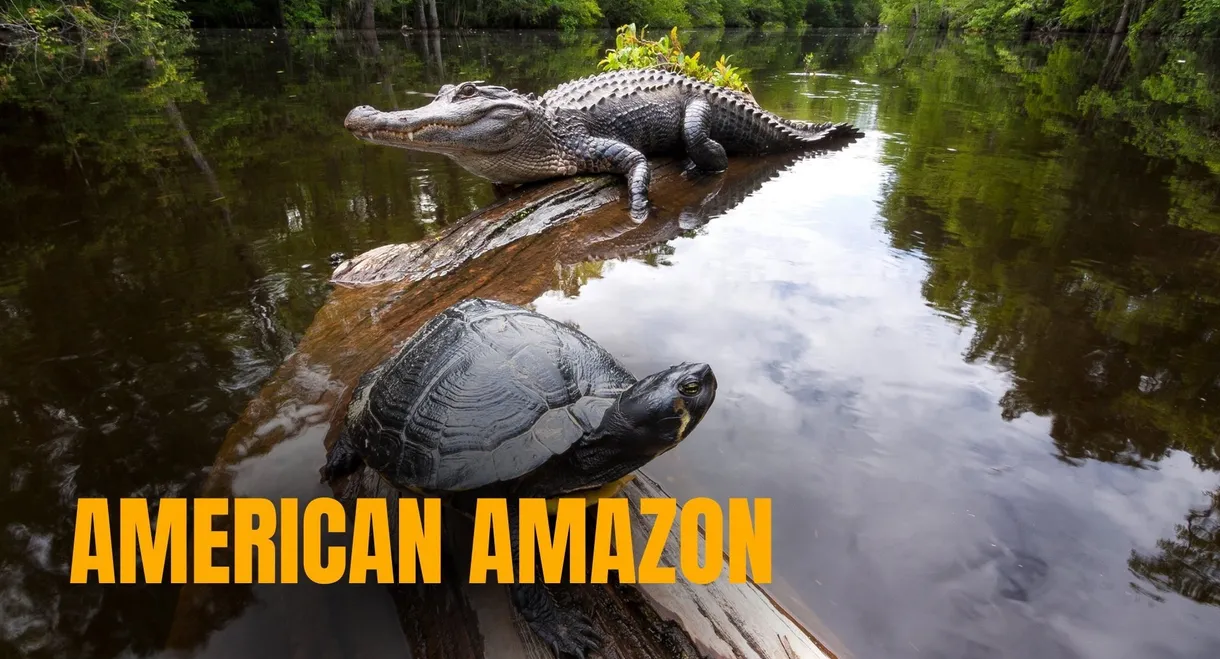 American Amazon