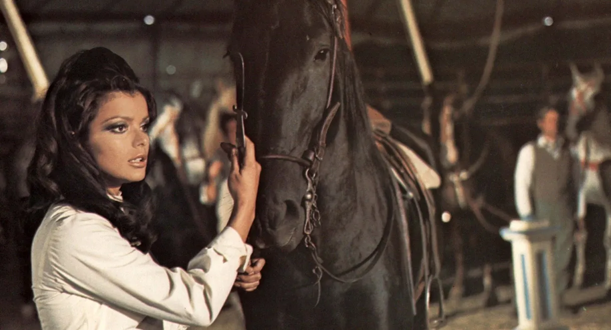 Black Beauty