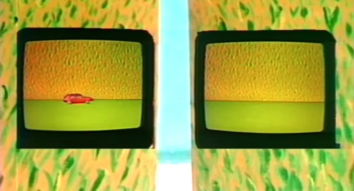Videoflashs