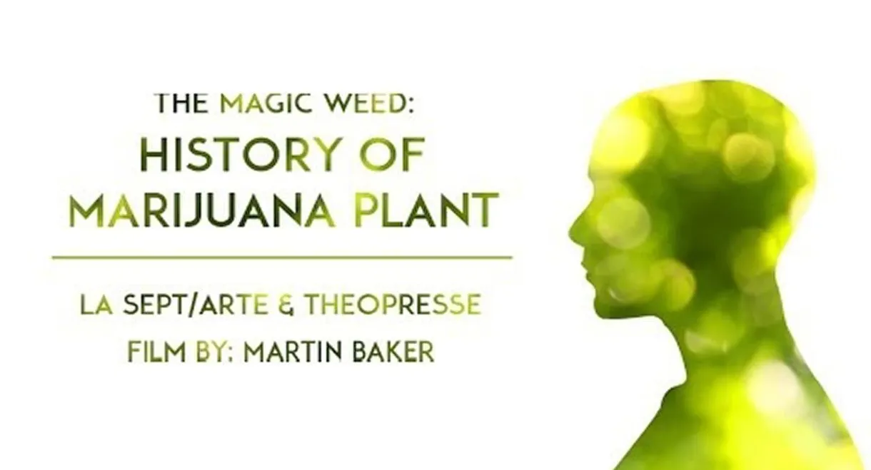 The Magic Weed: History of Marijuana Plant