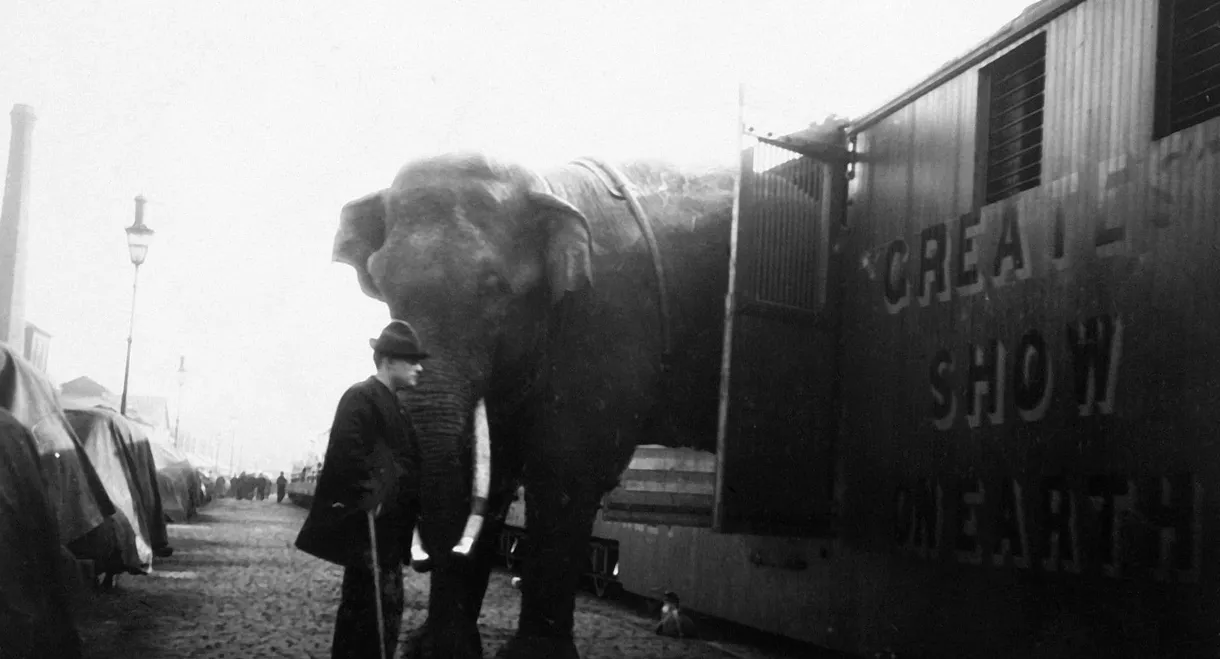 La Tragique Histoire de Fritz l'éléphant