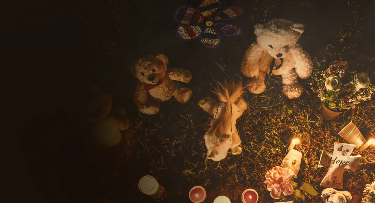 The Murder of Gabby Petito: What Really Happened