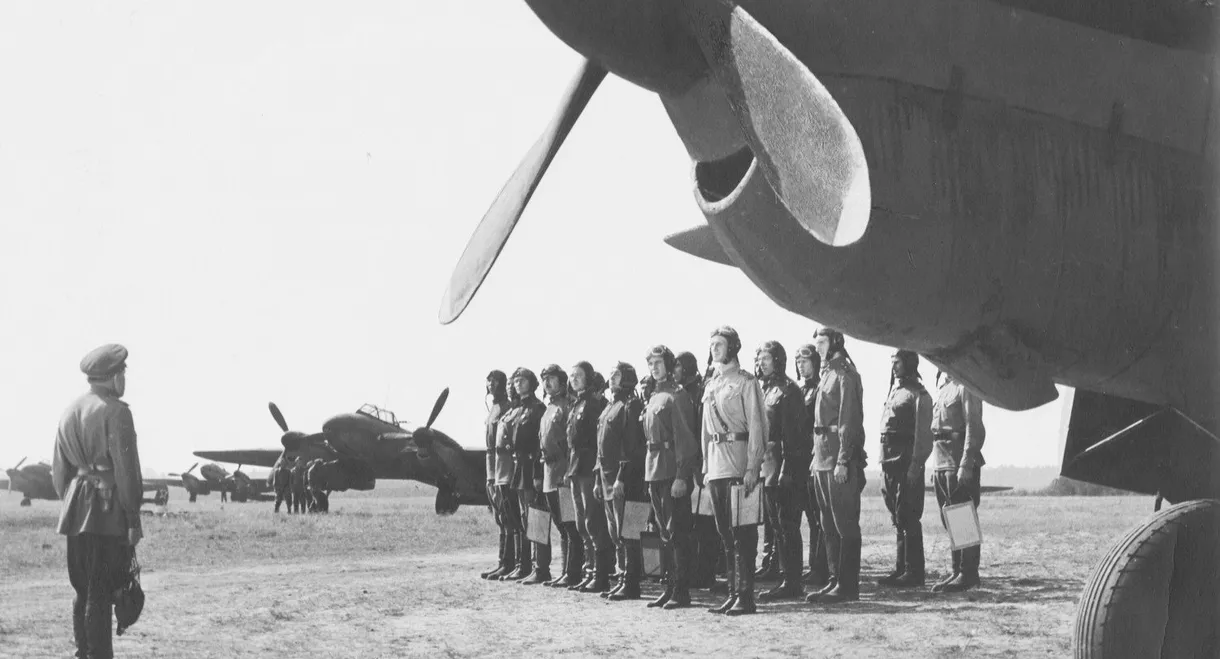 A Diving Bomber Chronicle