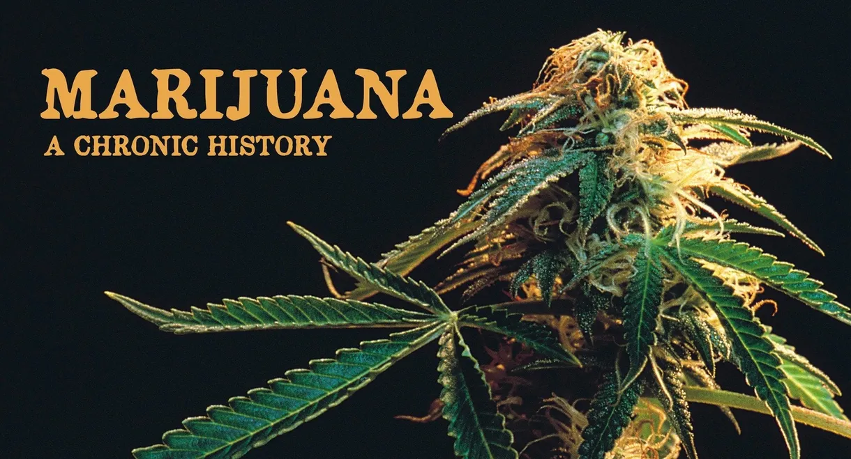 Marijuana: A Chronic History