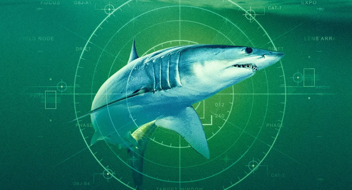 World's Biggest Mako