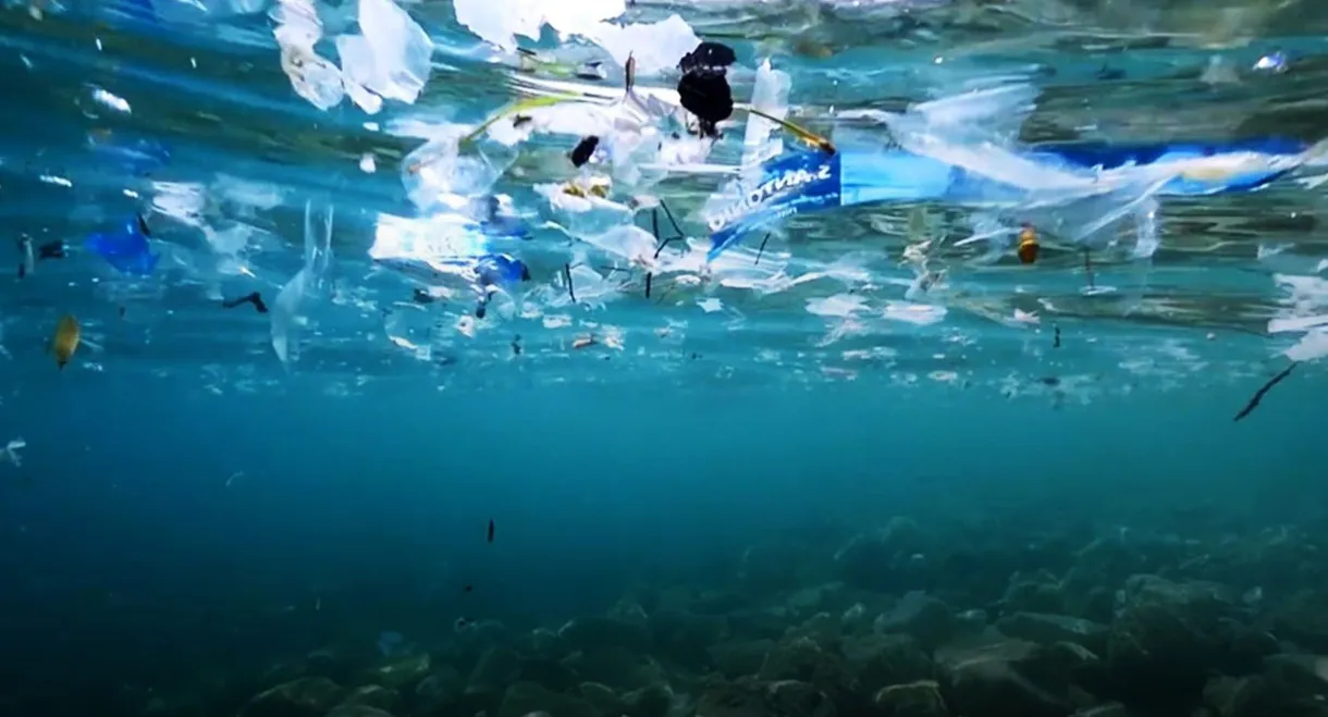 Oceans The Mystery of the Missing Plastic