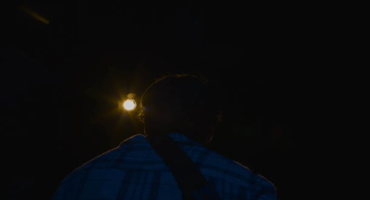 A Part of You