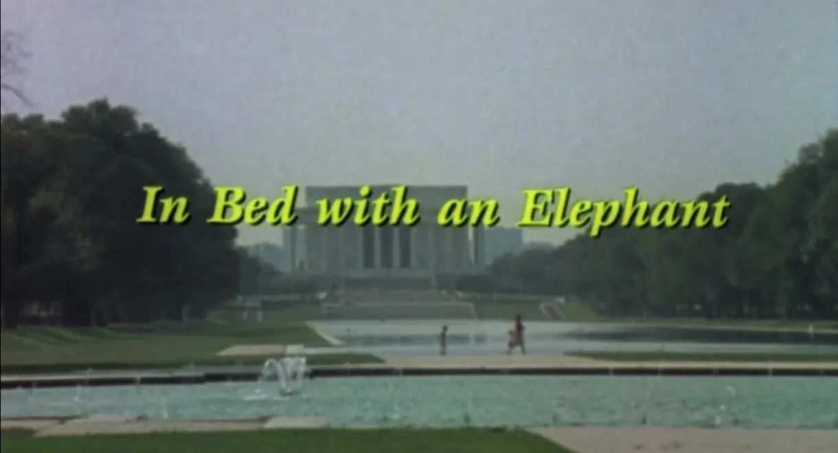 In Bed with an Elephant