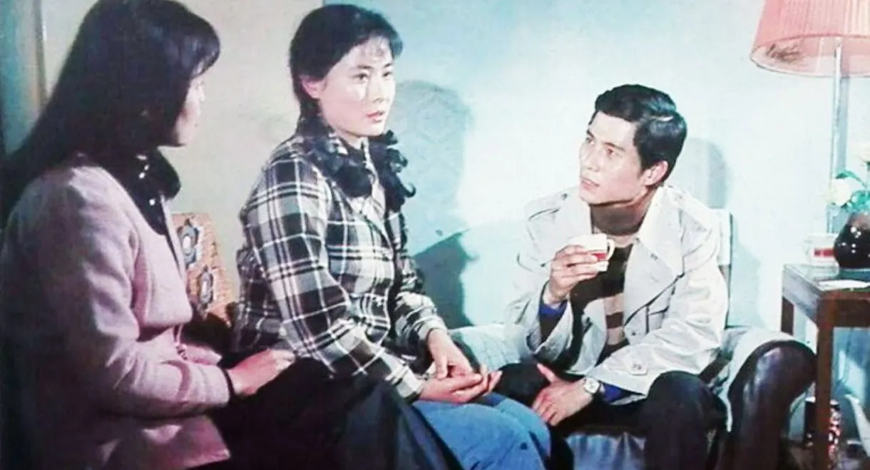 姑娘， 望着我