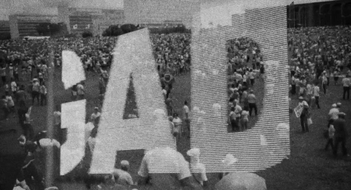 Um Documentário Brasileiro