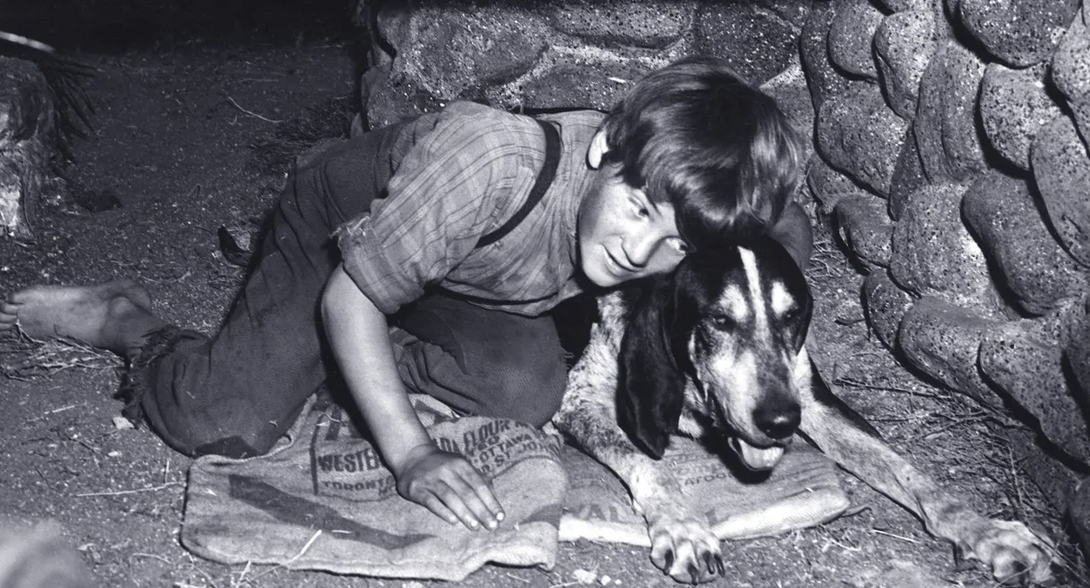 A Boy and His Dog