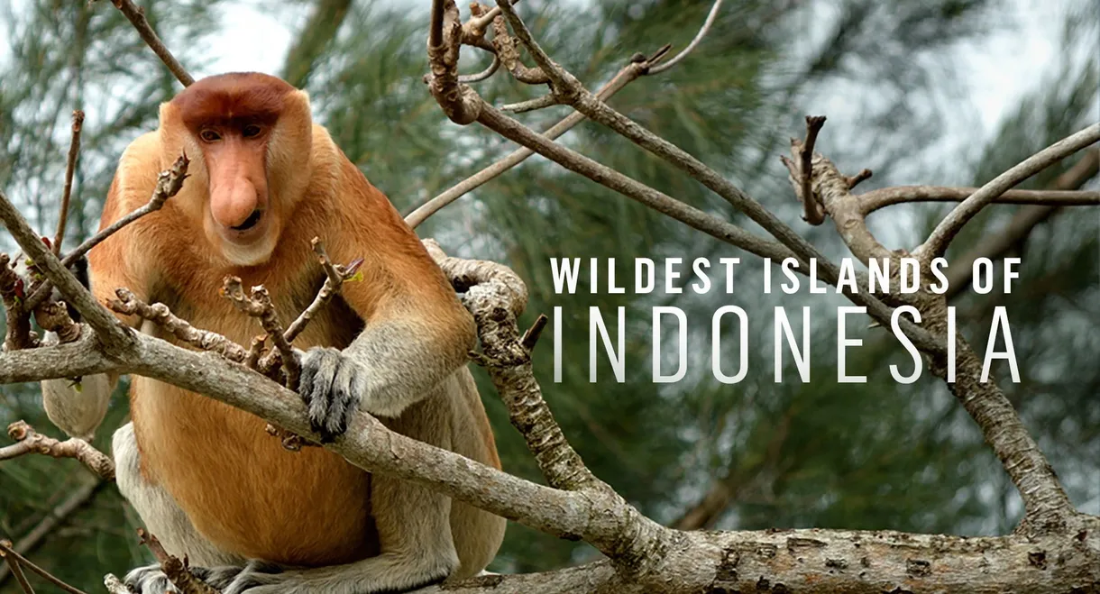 Wildest Islands of Indonesia