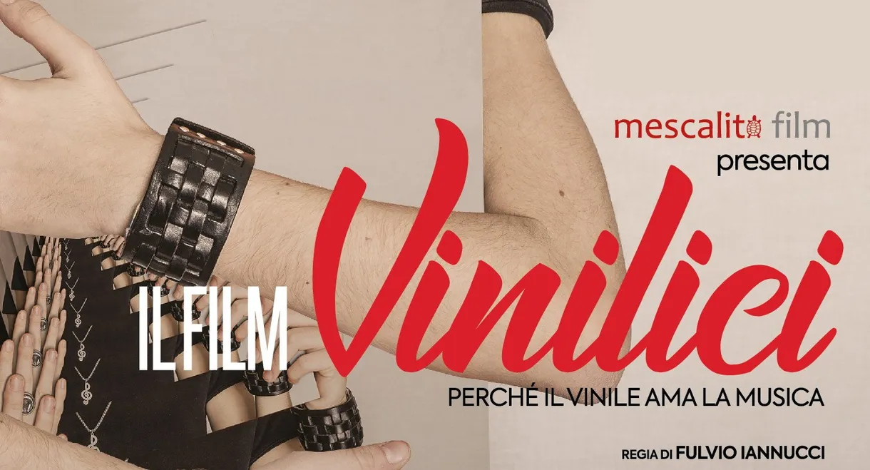 Vinilici - Perché il vinile ama la musica