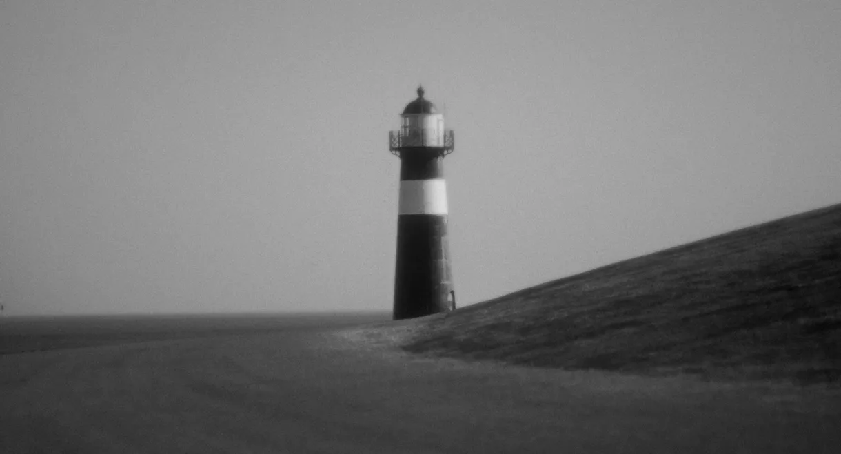 The Albatross