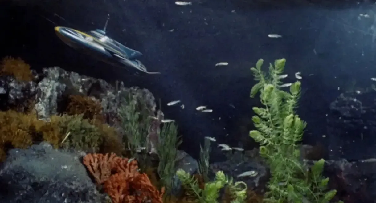 Stingray