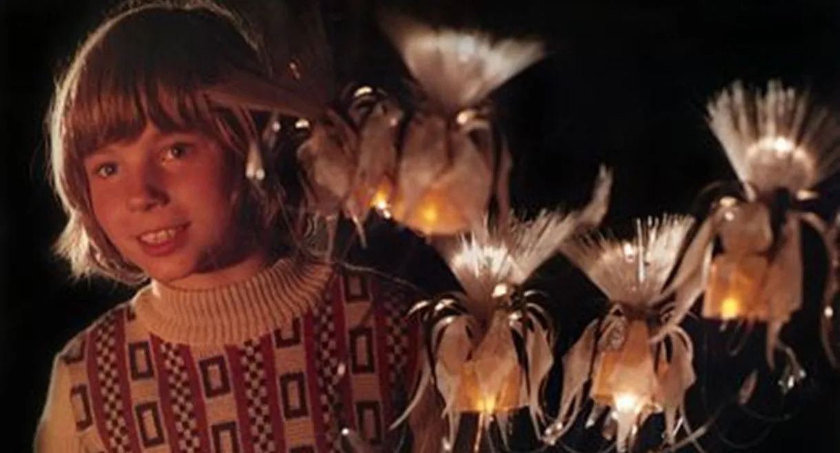 Flowers for the Man in the Moon