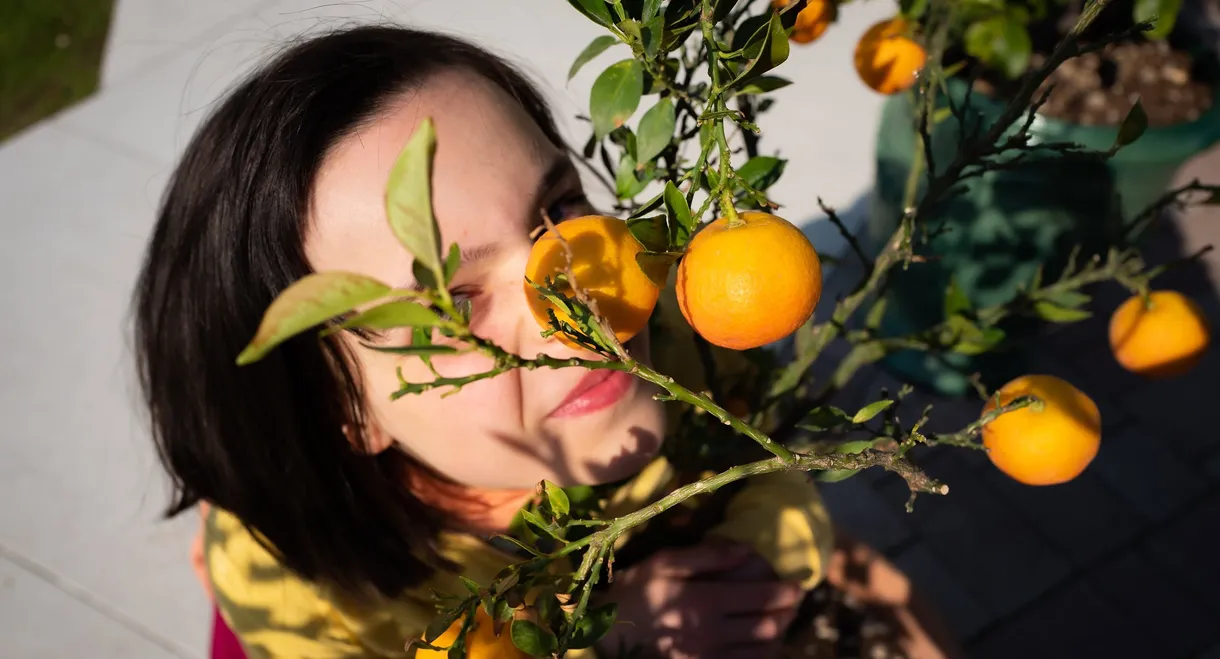 The Scent of Tangerine