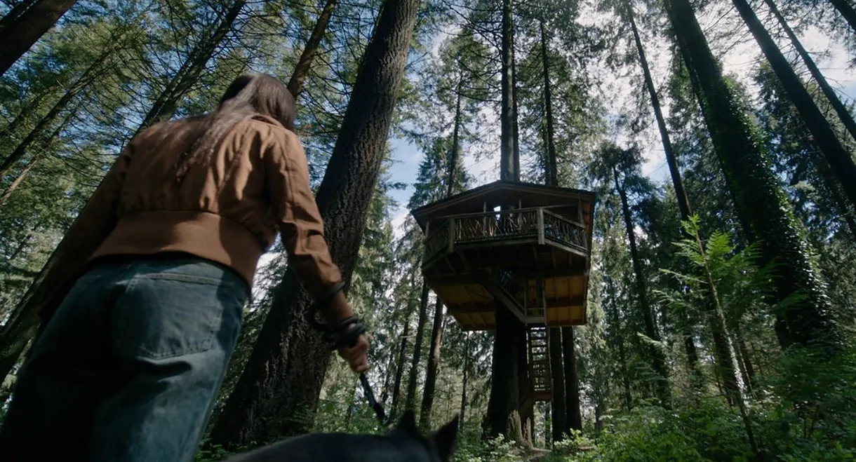 The Treehouse