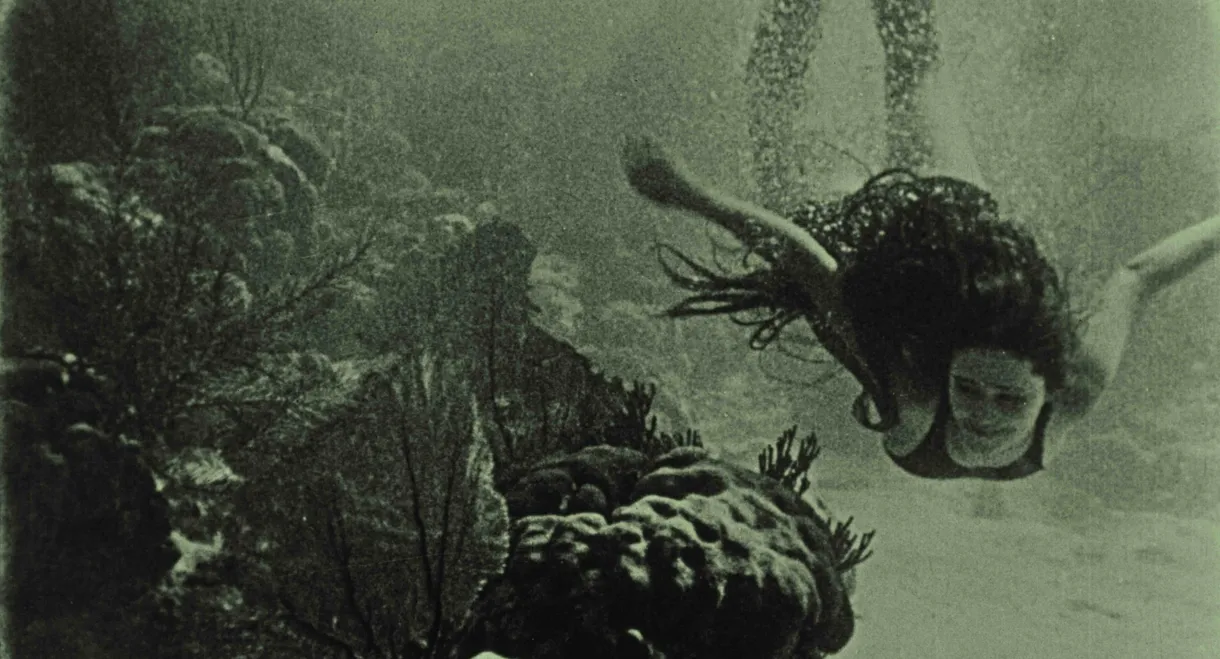Wonders of the Sea