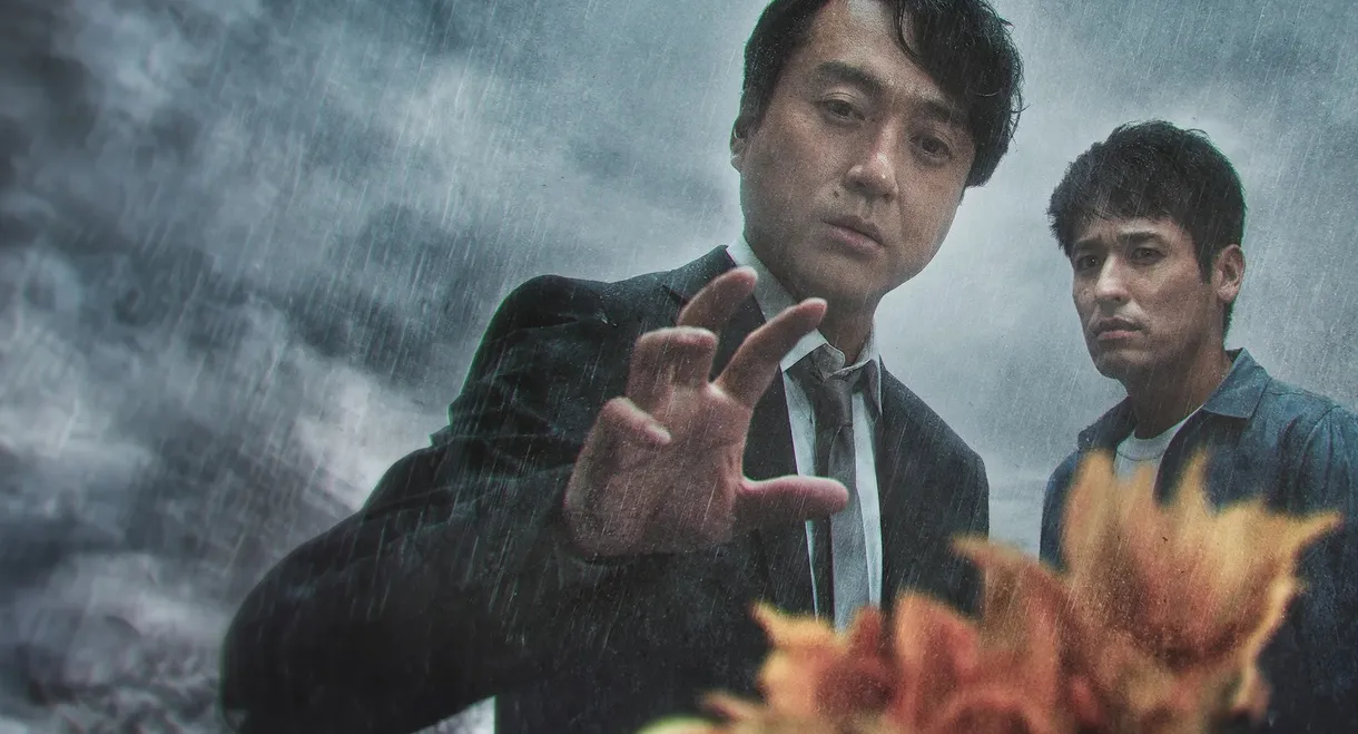 The Sunflower Disappeared in the Rain