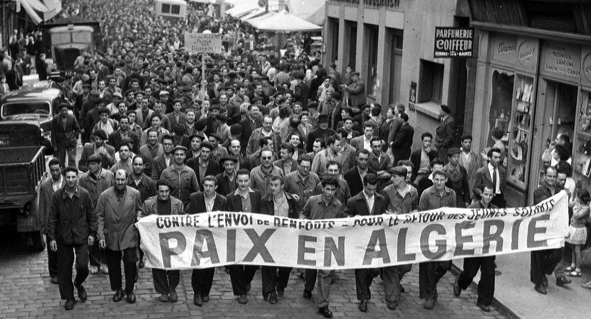They Chose Algeria