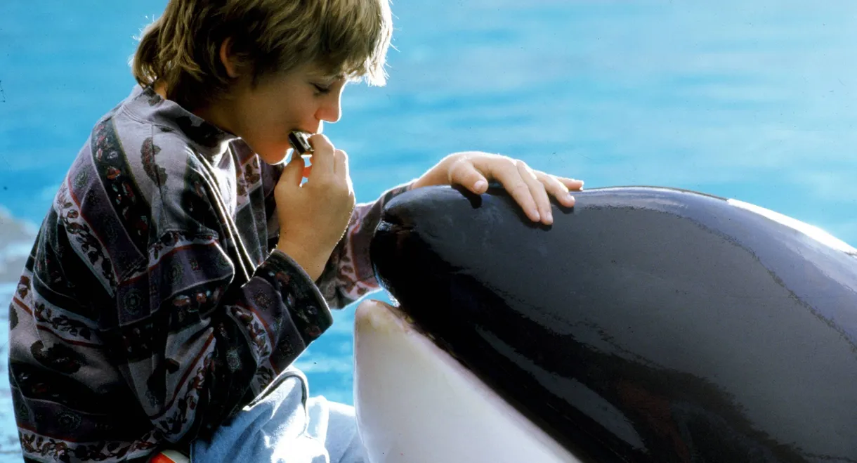 Free Willy