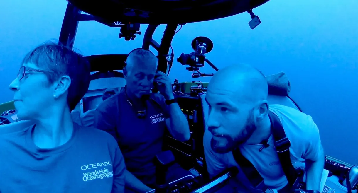 Ocean Emergency: Currents of Hope