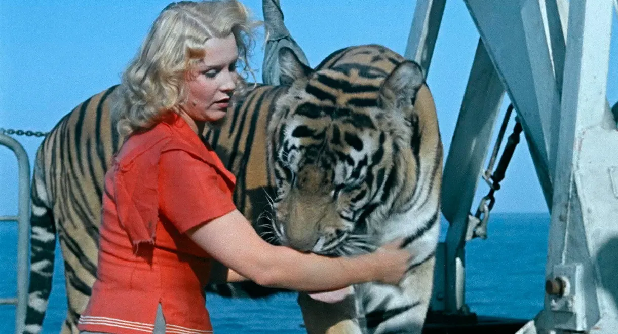 Striped Trip