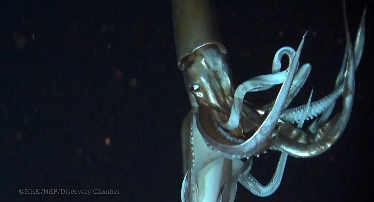 Deep Ocean